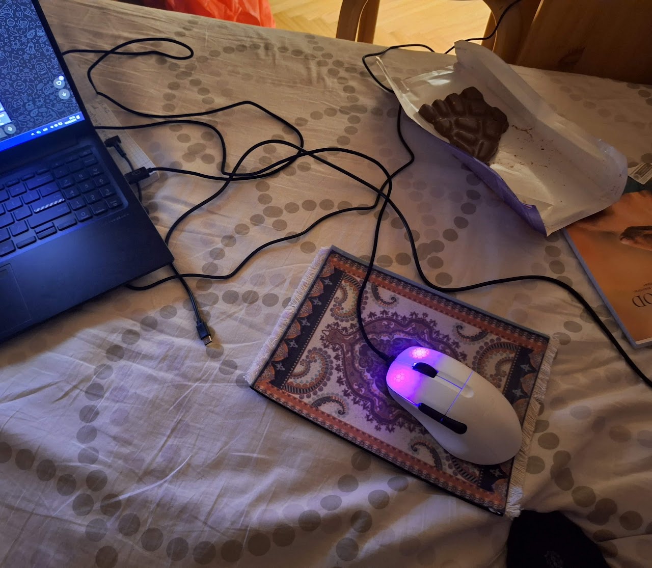 Photo of the mouse